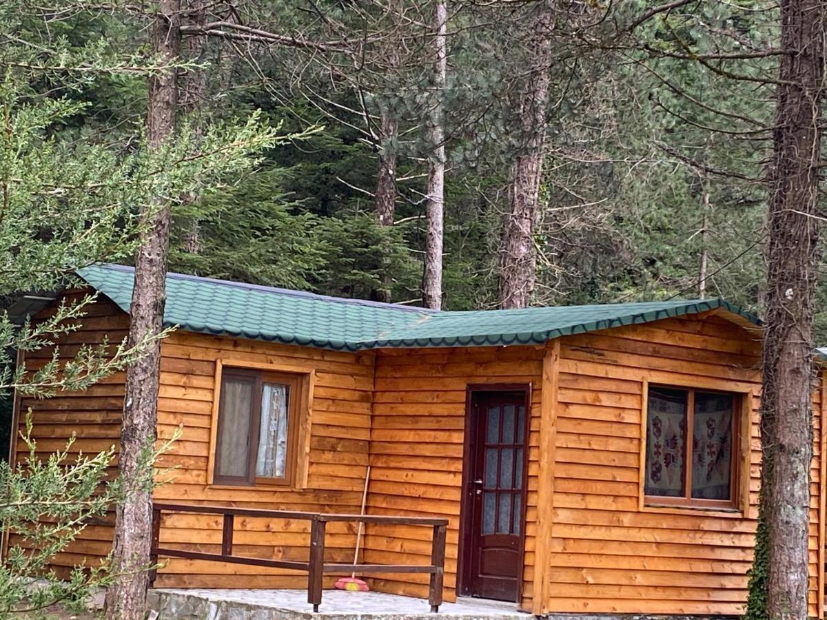 Bujtina Uji I Panjes, Log Cabins Dukat Eksteriør billede